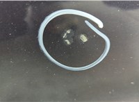 1530169, P8M51A20124AE Дверь боковая (легковая) Ford Focus 2 2008-2011 20708462 #8