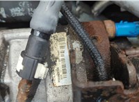  Форсунка топливная Ford Transit (Tourneo) Connect 2002-2013 11561412 #13