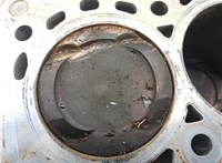  Блок цилиндров (Шорт блок) BMW X2 (F39) 2017-2023 20709849 #11