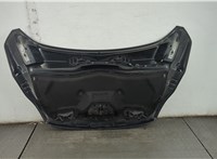 1815874, PAM51U16610AC Капот Ford C-Max 2010-2015 20711337 #5