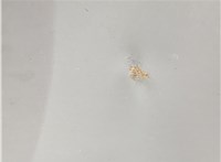 60210SMGE00ZZ Крыло Honda Civic 2005-2012 20711340 #6