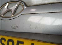  Петля заднего стекла Hyundai Tucson 1 2004-2010 11557638 #4