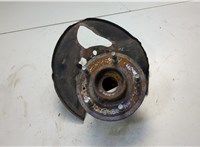 4802486, 20863127 Ступица (кулак, цапфа) Opel Antara 2006-2015 20712587 #1