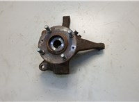  Ступица (кулак, цапфа) KIA Picanto 2004-2011 20712968 #1