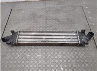  Радиатор интеркулера Ford Focus 2 2005-2008 20713118 #1