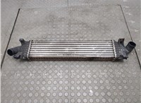  Радиатор интеркулера Ford Focus 2 2005-2008 20713118 #2
