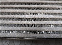  Радиатор интеркулера Ford Focus 2 2005-2008 20713118 #4