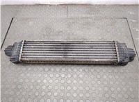  Радиатор интеркулера Ford Focus 2 2005-2008 20713118 #7