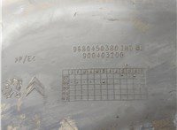  Защита арок (подкрылок) Citroen Berlingo 2008-2012 20714729 #3