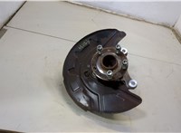  Ступица (кулак, цапфа) Audi Q4 E-tron 2021-2025 20714853 #1