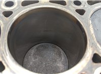  Блок цилиндров (Шорт блок) Renault Modus 2004-2012 20715058 #12