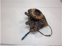 31206756256, 6756256, 31216761576, 6761576, 34116756902 Ступица (кулак, цапфа) BMW X5 E53 2000-2006 20715278 #1