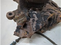 31206756256, 6756256, 31216761576, 6761576, 34116756902 Ступица (кулак, цапфа) BMW X5 E53 2000-2006 20715278 #2