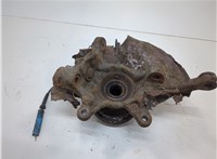 31206756256, 6756256, 31216761576, 6761576, 34116756902 Ступица (кулак, цапфа) BMW X5 E53 2000-2006 20715278 #3