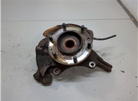  Ступица (кулак, цапфа) KIA Carnival 2006-2014 20715942 #1