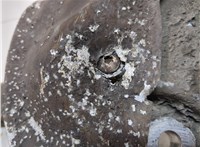  Ступица (кулак, цапфа) Audi A6 (C6) 2004-2011 20715956 #3