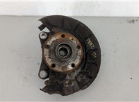  Ступица (кулак, цапфа) Volkswagen Passat 6 2005-2010 20716148 #1