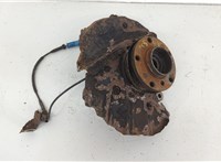 31206756256, 6756256, 31216761575, 6761575, 34116756901 Ступица (кулак, цапфа) BMW X5 E53 2000-2006 20716178 #1