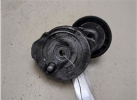 31258133 Натяжитель приводного ремня Volvo S60 2010-2018 20716299 #4