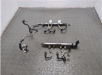 LR013183, LR013182 Рампа (рейка) топливная Land Rover Range Rover Sport 2005-2013 20716388 #1