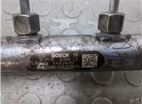 LR013183, LR013182 Рампа (рейка) топливная Land Rover Range Rover Sport 2005-2013 20716388 #8