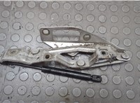  Петля капота Audi TT (8N) 1998-2006 20716489 #2