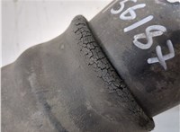 37126750355, 6750355 Пневмоподушка BMW X5 E53 2000-2006 20717397 #4