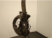 31226882263, 6882263, 31216869870, 6869870 Ступица (кулак, цапфа) BMW X5 E70 2006-2013 20719363 #1