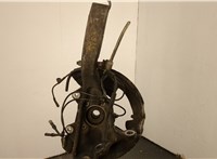 31226882263, 6882263, 31216869869, 6869869 Ступица (кулак, цапфа) BMW X5 E70 2006-2013 20719372 #1