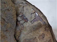  Ступица (кулак, цапфа) Land Rover Freelander 2 2006-2014 20719505 #3