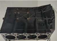 A6460106147 Блок цилиндров (Шорт блок) Mercedes CLK W209 2002-2010 20720916 #1