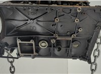 A6460106147 Блок цилиндров (Шорт блок) Mercedes CLK W209 2002-2010 20720916 #12