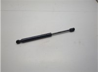 654713JA0A Амортизатор капота Infiniti JX 2012-2014 20721931 #1