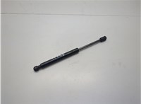 654713JA0A Амортизатор капота Infiniti JX 2012-2014 20721931 #2