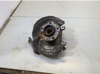 31206876840, 6876840, 31216792287, 6792287 Ступица (кулак, цапфа) BMW 3 F30 2012-2019 20721941 #1