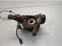 3885A016, 3870A055 Ступица (кулак, цапфа) Mitsubishi Galant 2004-2012 20722652 #2