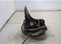 33416795961, 6795961, 33406867811, 6867811, 33326879102, 6879102, 34216857981, 6857981 Ступица (кулак, цапфа) BMW X5 E70 2006-2013 20723935 #2