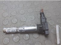  Катушка зажигания Bentley Continental GT 2003-2011 20727233 #1