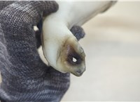 76805STKA01 Горловина заливная бачка омывателя Acura RDX 2006-2013 20728182 #3