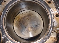  Блок цилиндров (Шорт блок) Ford Focus 2 2005-2008 20728442 #9