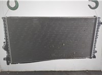 17119846873, 9846873 Радиатор охлаждения двигателя BMW X1 U11, U12 2022-2025 20728600 #2