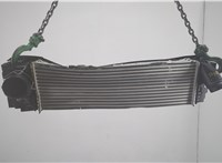 17519846918, 9846918 Радиатор интеркулера BMW X1 U11, U12 2022-2025 20728605 #1