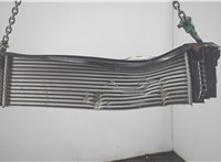 17519846918, 9846918 Радиатор интеркулера BMW X1 U11, U12 2022-2025 20728605 #2