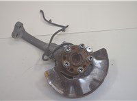  Ступица (кулак, цапфа) Hyundai Equus 2009-2016 20728897 #1