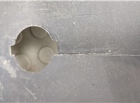 DC34173810AA Накладка подножки Ford F-250 2010-2016 20729048 #3