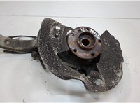 31226867808, 6867808, 31216869869, 6869869 Ступица (кулак, цапфа) BMW X5 E70 2006-2013 20729320 #1