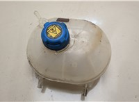 51956876 Бачок расширительный Fiat Panda 2003-2012 20733331 #1