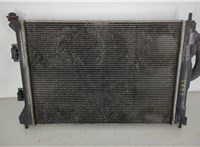 253103X101 Радиатор охлаждения двигателя Hyundai Elantra 2010-2016 20734365 #1