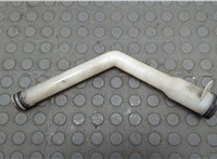 20775070 Горловина заливная бачка омывателя Chevrolet Captiva 2011-2016 20734743 #1