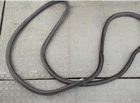  Уплотнитель Chevrolet Blazer 2018-2023 20736763 #1